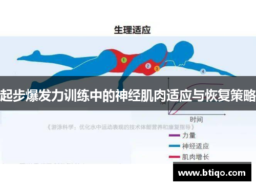 起步爆发力训练中的神经肌肉适应与恢复策略